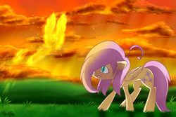 Size: 1500x1000 | Tagged: safe, artist:gnidagovnida, derpibooru import, fluttershy, pegasus, phoenix, pony, 2014, cloud, grass, hair over one eye, sky, stray strand