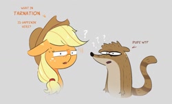 Size: 1471x894 | Tagged: safe, artist:another_pony, derpibooru import, applejack, earth pony, raccoon, confused, dialogue, question mark, regular show, rigby