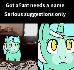 Size: 1256x1191 | Tagged: safe, artist:rainbow-douch, derpibooru import, lyra heartstrings, pony, unicorn, caption, female, food, image macro, mare, meme, oats, ponified, ponified meme, solo, text