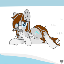 Size: 2000x2000 | Tagged: safe, artist:gnashie, derpibooru import, oc, oc only, oc:silver snow, fish, pony, belly button, chest fluff, hoofprints, looking at you, lying down, mouth hold, on side, snow, snowpony (species), taiga pony, water, yakutian horse