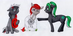 Size: 4096x2032 | Tagged: safe, artist:myzanil, derpibooru import, oc, oc only, oc:oracle linux, oc:red hat, oc:rocky linux, earth pony, pony, angry, argument, chest fluff, colored pencil drawing, distro ponies, ears, earth pony oc, family, floppy ears, glasses, grass, gravestone, hat, linux, os pony, pointing, sitting, smiling, smirk, traditional art