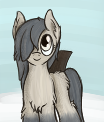 Size: 1500x1750 | Tagged: safe, artist:ahorseofcourse, derpibooru import, oc, oc only, oc:current seeker, pony, butt fluff, chest fluff, ear fluff, ears, female, fluffy, looking up, mare, simple background, smiling, snow, snowpony (species), solo, taiga pony, yakutian horse