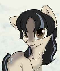 Size: 2200x2600 | Tagged: safe, artist:dumbwoofer, oc, oc only, oc:cold shoulder, pony, /mlp/, blaze (coat marking), chest fluff, coat markings, cute, ear fluff, ears, facial markings, female, floppy ears, fluffy, looking at you, mare, snowpony (species), solo, taiga pony, yakutian horse