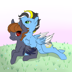 Size: 2834x2834 | Tagged: safe, artist:schokocream, derpibooru import, oc, oc only, pegasus, pony, base used, chest fluff, female, grass, lying down, mare, outdoors, pegasus oc, prone, smiling, two toned wings, wings