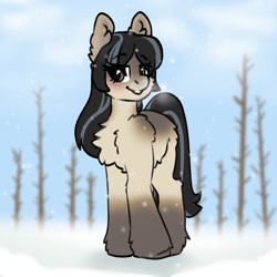 Size: 2000x2000 | Tagged: safe, artist:spoopygander, derpibooru import, oc, oc only, oc:cold shoulder, earth pony, pony, blaze (coat marking), blushing, chest fluff, coat markings, cute, ear fluff, ears, female, fluffy, looking at you, mare, ocbetes, outdoors, raised hoof, raised leg, smiling, smiling at you, snow, snowpony (species), solo, taiga pony, yakutian horse