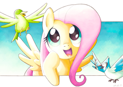 Size: 5787x4093 | Tagged: safe, artist:konanachi, derpibooru import, fluttershy, bird, blue jay, pegasus, absurd resolution, cute, daaaaaaaaaaaw, female, mare, open mouth, panel break, shyabetes