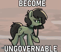 Size: 695x598 | Tagged: safe, artist:plunger, derpibooru import, oc, oc only, oc:anon filly, earth pony, pony, become ungovernable, caption, collar, cute, earth pony oc, female, filly, foal, image macro, leash, mouth hold, pet play, ponified animal photo, pony pet, raised hoof, raised leg, side view, solo, text, walking