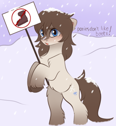 Size: 3115x3387 | Tagged: safe, artist:vetta, edit, editor:edits of hate, oc, oc only, oc:frosty flakes, pony, bipedal, blushing, boot, chest fluff, female, fluffy, looking at you, mare, meta, sign, snowpony (species), solo, taiga pony, unshorn fetlocks, yakutian horse