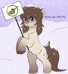 Size: 3115x3387 | Tagged: safe, artist:vetta, edit, editor:edits of hate, oc, oc only, oc:frosty flakes, pony, bipedal, blushing, boot, chest fluff, dialogue, female, fluffy, looking at you, mare, meta, sign, snowpony (species), solo, taiga pony, unshorn fetlocks, yakutian horse