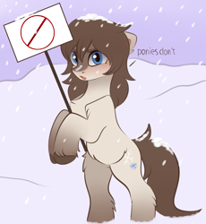Size: 3115x3387 | Tagged: safe, artist:vetta, edit, editor:edits of hate, oc, oc only, oc:frosty flakes, pony, bipedal, blushing, chest fluff, exploitable, female, fluffy, looking at you, mare, meta, sign, snowpony (species), solo, taiga pony, unshorn fetlocks, yakutian horse