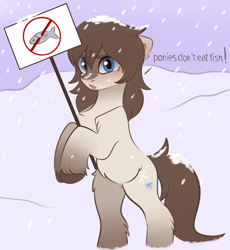 Size: 3115x3387 | Tagged: safe, artist:vetta, derpibooru import, oc, oc:frosty flakes, earth pony, fish, pony, adventure in the comments on derpi, bipedal, female, holding sign, sign, snowpony (species), solo, taiga pony, yakutian horse