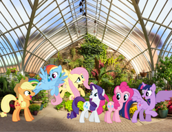 Size: 1700x1311 | Tagged: safe, artist:cloudyglow, artist:parclytaxel, artist:slb94, artist:tardifice, artist:xpesifeindx, derpibooru import, applejack, fluttershy, pinkie pie, rainbow dash, rarity, twilight sparkle, twilight sparkle (alicorn), alicorn, earth pony, pegasus, pony, unicorn, detroit, female, garden, irl, mane six, mare, michigan, photo, ponies in real life