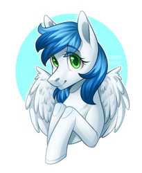 Size: 1280x1561 | Tagged: safe, artist:cried wolf, derpibooru import, oc, oc only, pegasus, pony, simple background, solo, white background