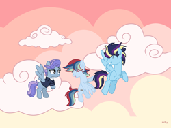 Size: 4000x3000 | Tagged: safe, artist:c1trine, artist:xxlightning-chaserxx, derpibooru import, oc, oc only, pegasus, pony, base used, clothes, cloud, female, male, mare, offspring, parent:rainbow dash, parent:soarin', parents:soarindash, stallion