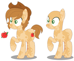 Size: 523x430 | Tagged: safe, artist:awoomarblesoda, derpibooru import, oc, oc only, earth pony, pony, bald, base used, duo, earth pony oc, hat, male, offspring, parent:applejack, parent:caramel, parents:carajack, simple background, stallion, transparent background, wide eyes