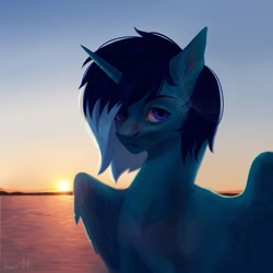 Size: 1080x1080 | Tagged: safe, artist:inarimayer, derpibooru import, oc, oc only, alicorn, pony, alicorn oc, bust, horn, outdoors, solo, sunset, wings