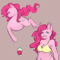 Size: 688x688 | Tagged: safe, artist:natt333, derpibooru import, pinkie pie, anthro, earth pony, pony, belly, belly button, bra, breasts, clothes, cupcake, food, palindrome get, pinkie pies, underwear