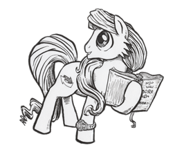 Size: 3000x2600 | Tagged: safe, artist:abronyaccount, derpibooru exclusive, derpibooru import, oc, oc only, oc:phrase turner, earth pony, pony, 2022 community collab, black and white, book, derpibooru community collaboration, earth pony oc, grayscale, hair tie, high res, ink drawing, long mane, long mane male, long tail, male, monochrome, ponytail, sideburns, simple background, solo, stallion, standing, tail, traditional art, transparent background, watch