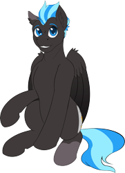 Size: 2327x3212 | Tagged: safe, artist:wcnimbus, derpibooru import, oc, oc:nimbus, pegasus, 2022 community collab, blue eyes, blue hair, colored wings, derpibooru community collaboration, gradient wings, gray coat, high res, looking at you, male, simple background, sitting, solo, splotches, transparent background, wings