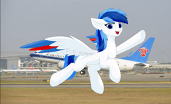Size: 1256x768 | Tagged: safe, artist:lywings, derpibooru import, oc, oc only, oc:lywings, airport, china, china southern airlines, plane