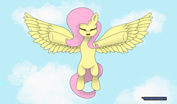 Size: 11466x6808 | Tagged: safe, artist:phosphorshy, derpibooru import, fluttershy, pegasus, pony, absurd resolution, blue sky, chest fluff, cloud, cute, daaaaaaaaaaaw, ear fluff, ears, eyes closed, flying, incoming hug, open mouth, open smile, outstretched arms, shyabetes, signature, sky, smiling, solo, spread wings, wings