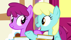 Size: 1920x1080 | Tagged: safe, derpibooru import, screencap, berry punch, berryshine, sassaflash, earth pony, pegasus, pony, fame and misfortune, season 7, background pony, book, duo, duo female, eye contact, female, looking at each other, looking at someone, mare, open mouth, smiling