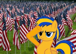 Size: 1174x837 | Tagged: safe, artist:mlpfan3991, derpibooru import, oc, oc:flare spark, flag, salute, united states, veterans day