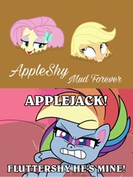 Size: 1717x2289 | Tagged: safe, derpibooru import, edit, edited edit, edited screencap, screencap, applejack, fluttershy, rainbow dash, better together, driving miss shimmer, equestria girls, fluttershy's butterflies, little miss fortune, my little pony: pony life, spoiler:pony life s02e20, angry, gritted teeth, mud, quicksand, rage, rainbow dash is not amused, unamused