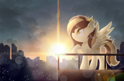 Size: 2000x1300 | Tagged: safe, artist:jadebreeze115, derpibooru import, oc, oc only, oc:prince whateverer, pegasus, pony, balcony, city, cityscape, lens flare, solo, spread wings, sunrise, wings