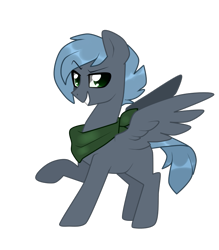 Size: 761x867 | Tagged: safe, artist:kaikururu, derpibooru import, oc, oc only, pegasus, pony, dreamworks face, grin, male, neckerchief, pegasus oc, raised hoof, raised leg, simple background, smiling, solo, stallion, transparent background, wings