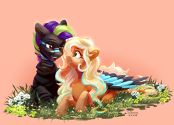 Size: 3576x2560 | Tagged: safe, artist:teaflower300, derpibooru import, oc, oc only, earth pony, pegasus, pony