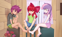 Size: 3730x2218 | Tagged: safe, artist:pestil, apple bloom, scootaloo, sweetie belle, human, clothing, cutie mark crusaders, feet, female, humanized, underage