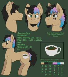 Size: 2013x2299 | Tagged: safe, artist:brushwork, derpibooru import, oc, oc:caramello, pony, reference sheet