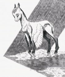 Size: 842x1000 | Tagged: safe, artist:adeptus-monitus, derpibooru import, oc, oc only, pegasus, pony, puddle, rain, solo, water, wet, wet mane, wings, wings down