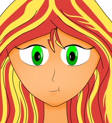 Size: 2450x2699 | Tagged: safe, artist:film77asq, derpibooru import, sunset shimmer, equestria girls, :t, bust, female, solo