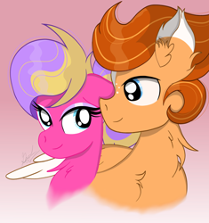 Size: 3270x3480 | Tagged: safe, derpibooru import, oc, oc only, oc:adustioflare, oc:skywatcher, pegasus, birb, chest fluff, couple, ear fluff, ears, female, looking at each other, looking at someone, male, mare, oc x oc, ship, shipping, simple background, skywatcherxadustioflare, stallion