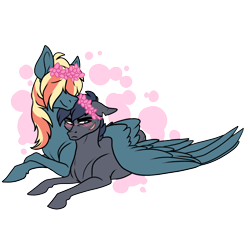 Size: 1000x1000 | Tagged: safe, artist:riotlizard, derpibooru import, oc, oc:aerostorm, oc:bruce, earth pony, pegasus, pony, blushing, gay, hair over eyes, lying down, male, oc x oc, offspring, offspring shipping, parent:dumbbell, parent:rainbow dash, parents:dumbdash, prone, shipping, simple background, stallion, transparent background, wing blanket, winghug, wings