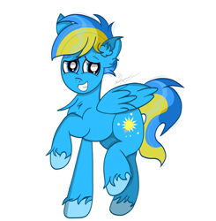 Size: 2984x3040 | Tagged: safe, artist:thepinkbirb, derpibooru import, oc, oc only, oc:spectrumlight, pegasus, pony, birb, blue eyes, chest fluff, colt, digital art, ear fluff, ears, foal, folded wings, full body, grin, high res, male, nervous, nervous grin, pegasus oc, raised hoof, raised leg, signature, simple background, smiling, solo, stallion, tail, two toned mane, two toned tail, unshorn fetlocks, white background, wings