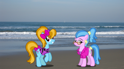 Size: 1920x1078 | Tagged: safe, artist:tsabak, derpibooru import, surf, turf, earth pony, pony, beach, bow, california, clothes, female, irl, mare, photo, ponies in real life, san francisco, sunglasses, tail, tail bow