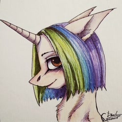 Size: 1021x1026 | Tagged: safe, artist:inarimayer, derpibooru import, oc, oc only, pony, unicorn, bust, horn, multicolored hair, rainbow hair, signature, solo, traditional art, unicorn oc