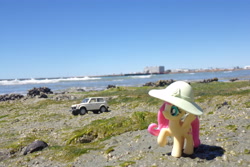 Size: 4608x3072 | Tagged: safe, artist:dingopatagonico, derpibooru import, fluttershy, pony, hat, irl, lada, photo, solo, toy