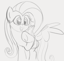 Size: 828x782 | Tagged: safe, artist:dotkwa, derpibooru import, fluttershy, bird, pegasus, pony, cockatiel, female, gray background, grayscale, mare, monochrome, open mouth, open smile, simple background, sketch, smiling, solo, spread wings, underhoof, wings