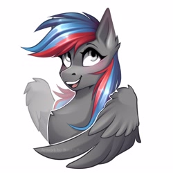 Size: 3543x3543 | Tagged: safe, artist:buvanybu, derpibooru import, oc, oc only, pegasus, pony, solo