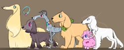 Size: 1240x499 | Tagged: safe, artist:justthemiles, derpibooru import, applejack, fluttershy, pinkie pie, rainbow dash, rarity, twilight sparkle, dog, poodle, afghan hound, appledog, brown background, cocker spaniel, dogified, female, flutterdog, greyhound, irish setter, labrador, mane six, puppy pie, rainbow dog, raridog, simple background, species swap, twilight barkle, watermark