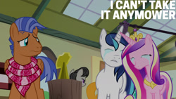 Size: 1280x720 | Tagged: safe, derpibooru import, edit, edited screencap, editor:quoterific, screencap, carrot top, golden harvest, octavia melody, princess cadance, shining armor, spearhead, alicorn, earth pony, pony, unicorn, a flurry of emotions, season 7, crown, crying, eyes closed, female, jewelry, male, mare, regalia, sad, stallion