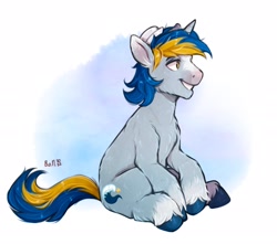 Size: 2048x1814 | Tagged: safe, artist:birdoffnorth, derpibooru import, oc, oc only, oc:ocean wave, pony, unicorn, abstract background, coat markings, full body, grin, horn, looking at something, male, no pupils, signature, sitting, smiling, socks (coat marking), solo, stallion, tail, two toned mane, two toned tail, unicorn oc, unshorn fetlocks