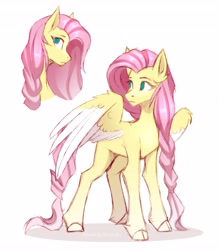 Size: 3584x4096 | Tagged: safe, artist:buvanybu, derpibooru import, fluttershy, pegasus, pony, alternate hairstyle, braid, cloven hooves, colored wings, female, head turned, high res, looking away, looking to side, looking to the left, mare, no pupils, profile, simple background, solo, spread wings, standing, three quarter view, two toned wings, unshorn fetlocks, white background, wings