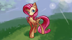 Size: 3840x2160 | Tagged: safe, artist:alexsavenije, derpibooru import, fluttershy, pegasus, pony, grass, grass field, solo, sunshine