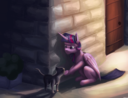 Size: 3250x2500 | Tagged: safe, artist:trotski432, artist:vezja, derpibooru import, twilight sparkle, twilight sparkle (alicorn), alicorn, cat, pony, brick wall, crouching, door, female, horn, mare, petting, plant, sitting, street, wings