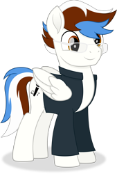 Size: 3335x4919 | Tagged: safe, artist:cirillaq, derpibooru import, oc, oc only, oc:soul beat, pegasus, pony, absurd resolution, clothes, folded wings, full body, glasses, hooves, male, multicolored mane, multicolored tail, pegasus oc, shadow, shirt, simple background, smiling, solo, stallion, standing, tail, three quarter view, transparent background, vector, wings
